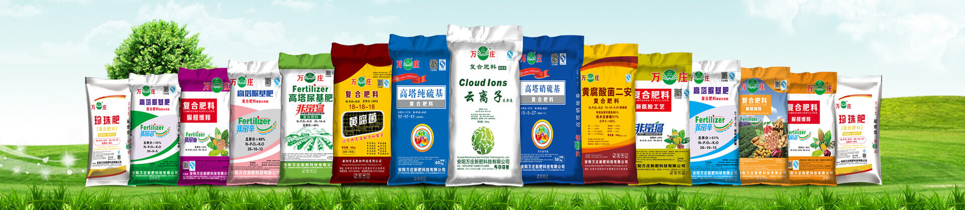 糖心视频在线播放网新肥