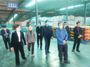 吕修涛一行莅临安阳糖心视频在线播放网新肥科技有限公司调研工作