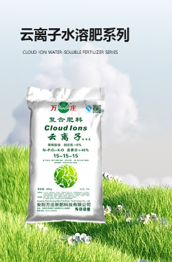 云离子糖心APP污WWW肥系列