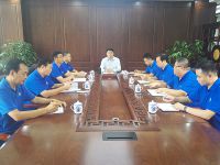 今天的糖心视频在线播放网