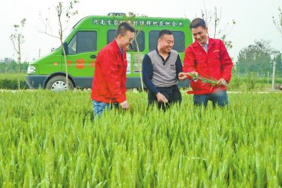 糖心视频在线播放网化肥定制化生产让经销商扮演新角色